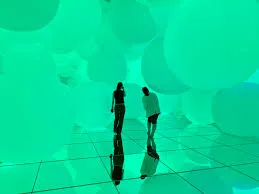 טים לאב פלאנטס – 3