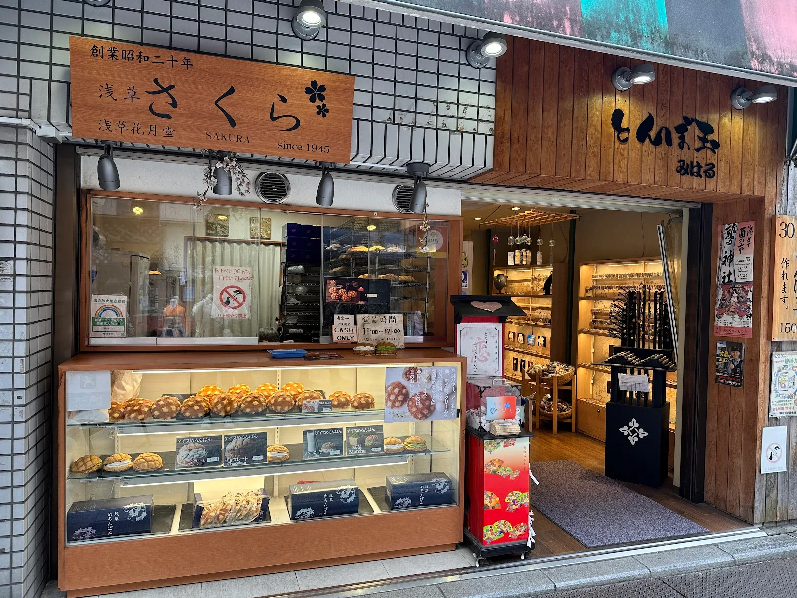 Asakusa Sakura 浅草さくら – 1